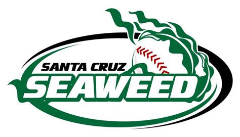 Enhance Your Wellbeing with Santa Cruz's Magic Seaweed